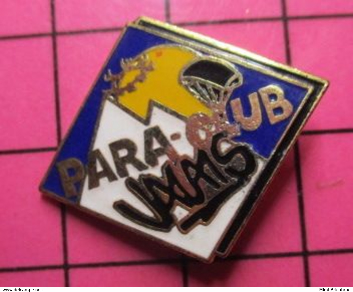 313i Pin's Pins / Beau Et Rare / THEME : SPORTS / PARACHUTISME PARA-CLUB VALAIS Du Grand Capital ! - Parachutespringen