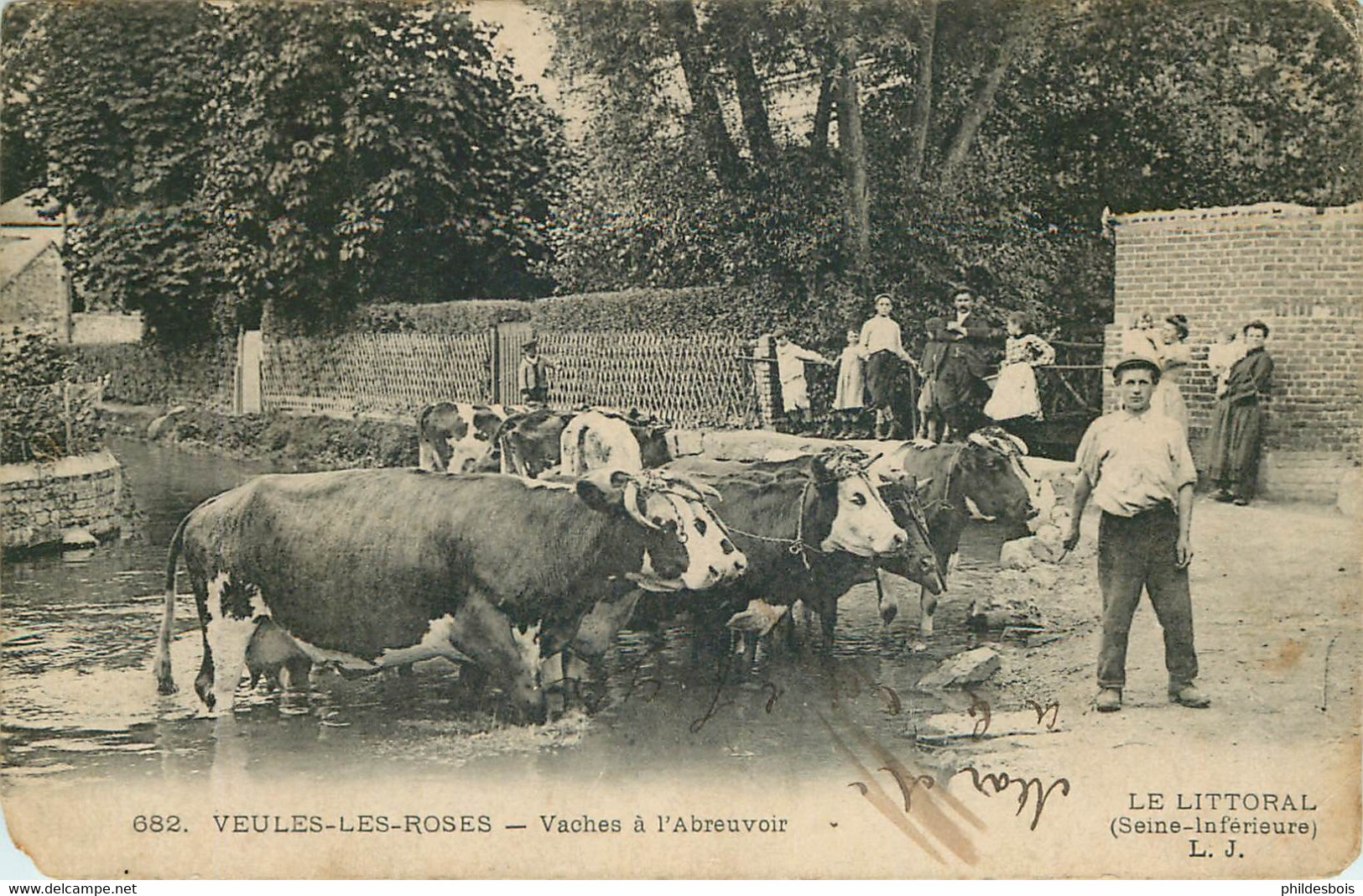 SEINE MARITIME  VEULES LES ROSES  Vaches A L'abreuvoir ( état) - Veules Les Roses