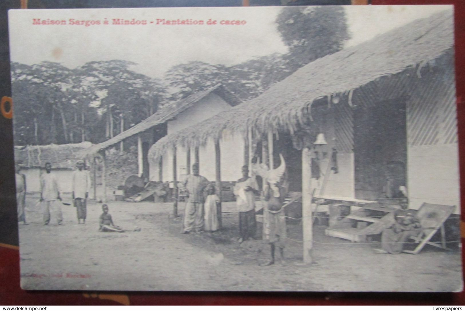 Congo Maison Sargos Mindou Plantation Cacao    Cpa - Other & Unclassified