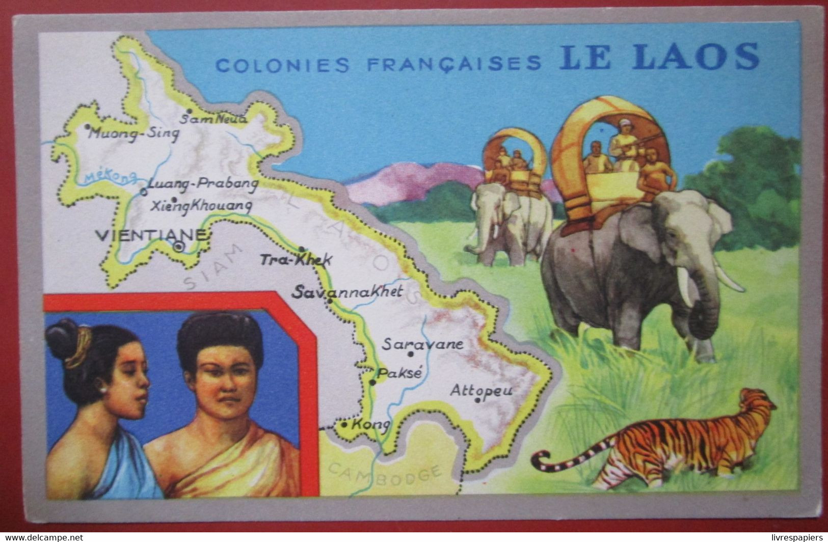 Laos Cpa Lion Noir Colonies - Laos