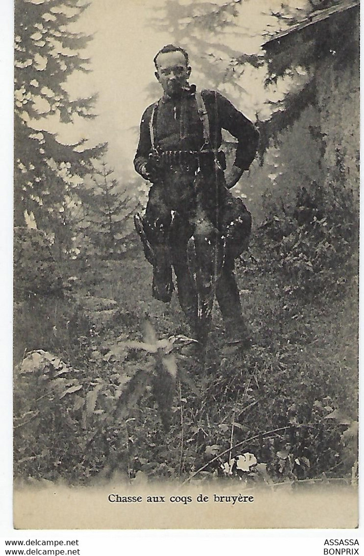 FRANCE - Chasse - Rare - Chasse Aux Coqs De Bruyère - Armes Et Pêche Maison G-Scherrer Paris - Jagd