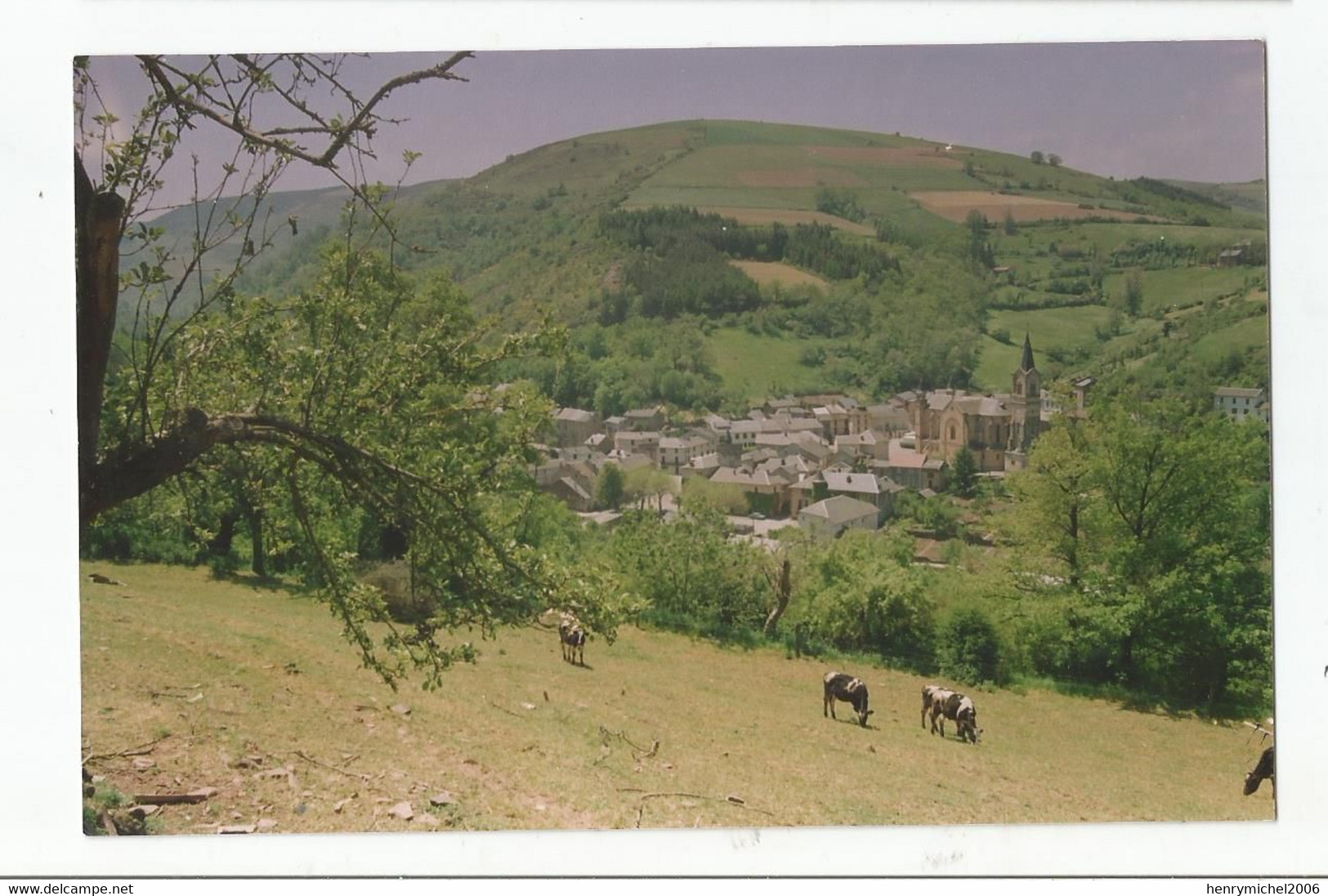 12 Aveyron St Sever Ed Photo Duchemann Lacaune - Other & Unclassified