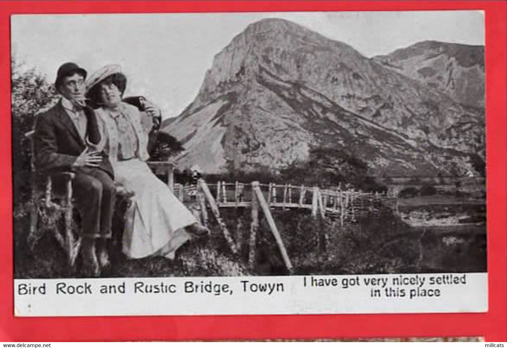 UK MERIONETHSHIRE   BIRD ROCK  + RUSTIC BRIDGE TOWYN  COMIC HUMOUR   RP - Pembrokeshire