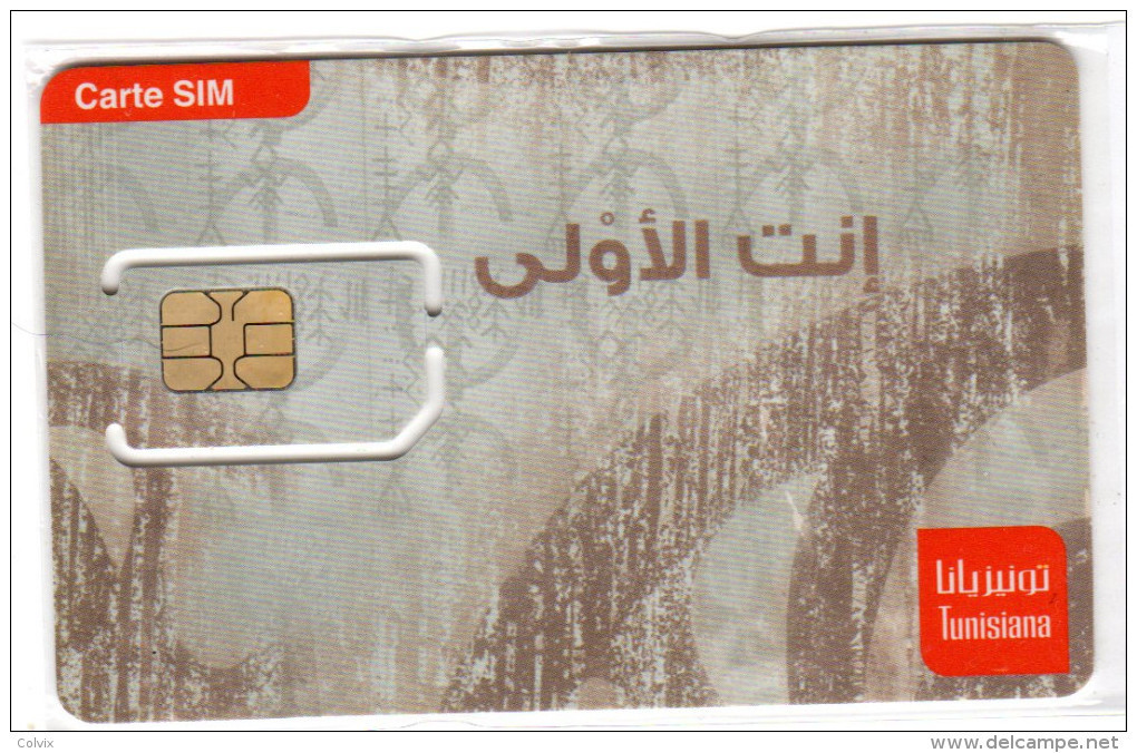 TUNISIE CARTE GSM TUNISIANA Verso Numeroté - Tunesien