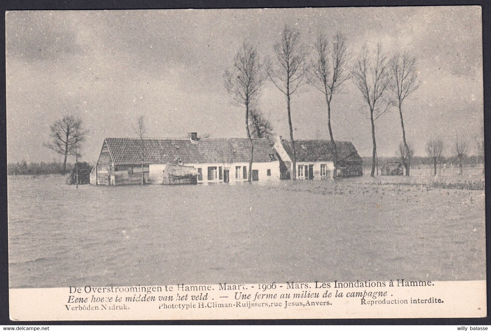 +++ CPA - Inondations à HAMME - Overstroomingen 1906 - Une Ferme Au Milieu De La Campagne   // - Hamme