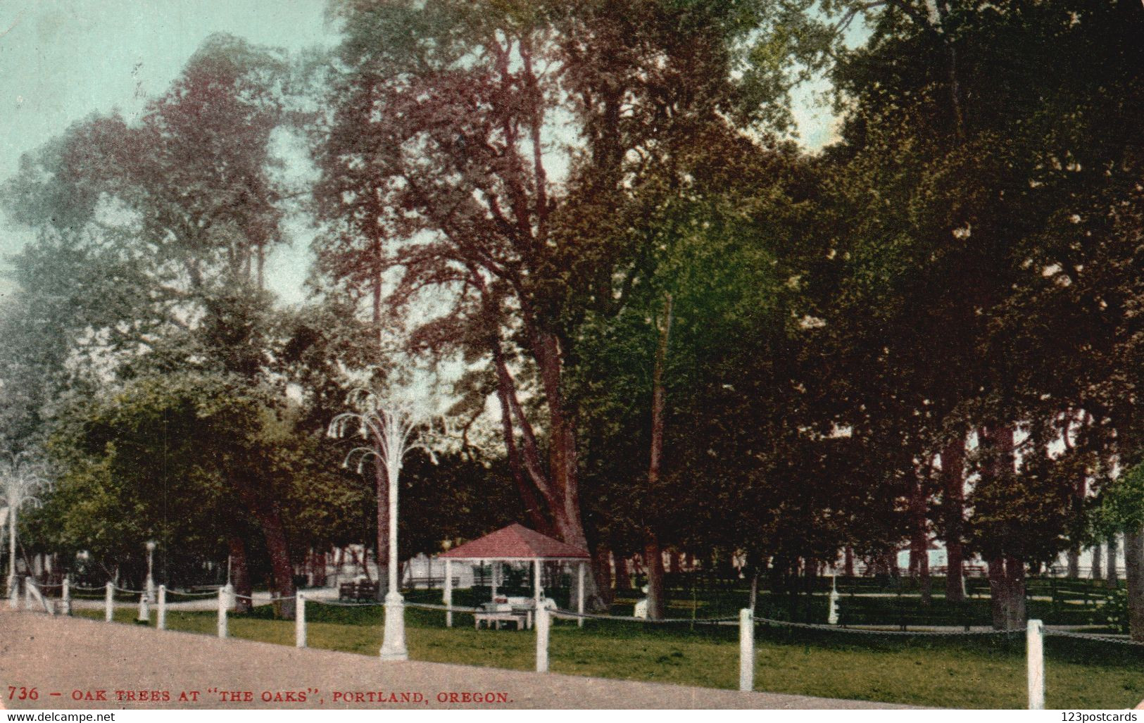 Oak Trees At "The Oaks" - Portland, Oregon - RARE! - Portland