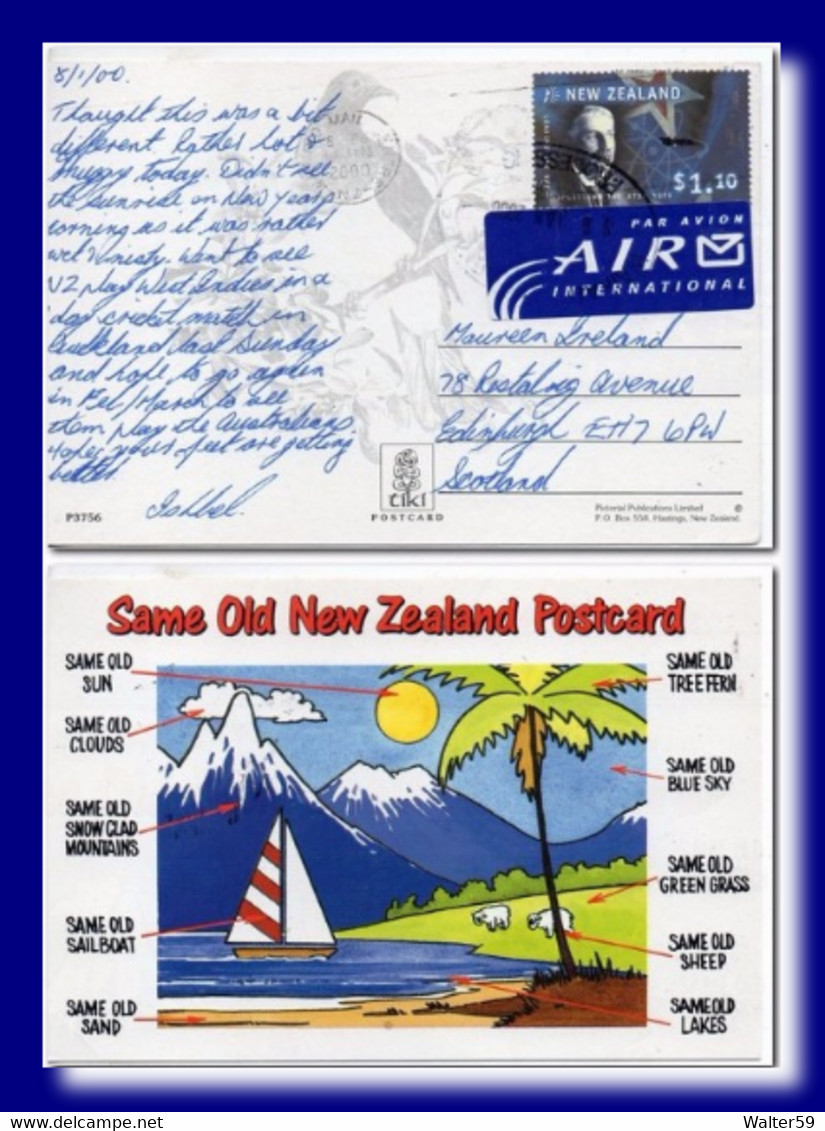 2000 New Zealand Postcard Posted Waikato To Scotland - Cartas & Documentos