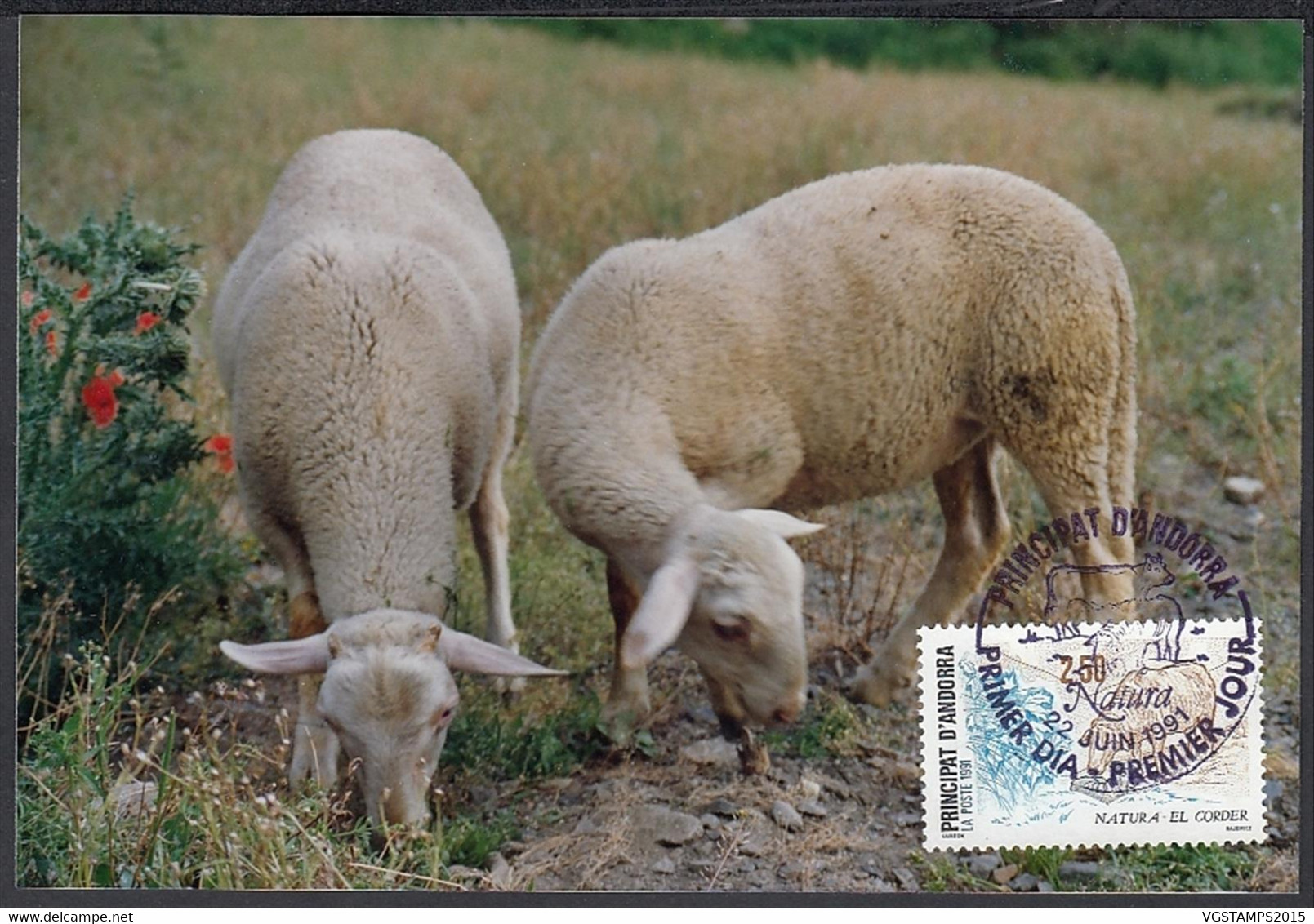 Andorre 1991-Andorre-Française- Yvert Nr.: 405 On Carte Maximum Photo. Theme: Mouton ........ (VG) DC-10240 - Usados