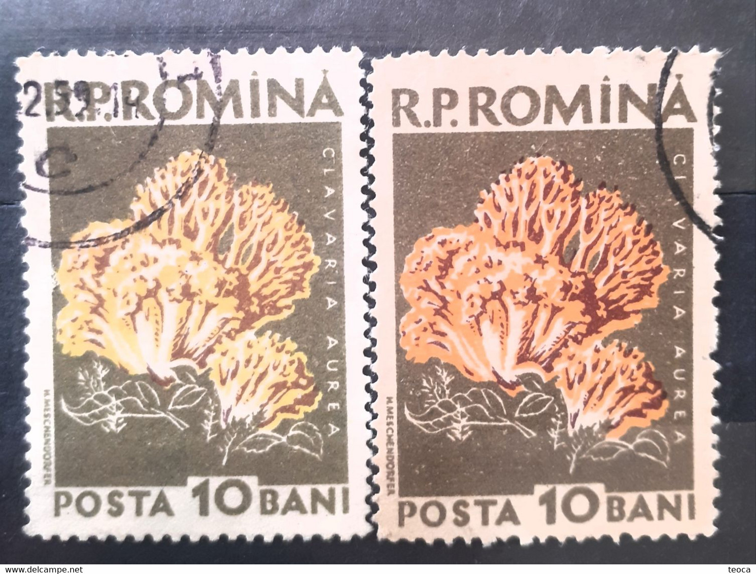 Errors Romania 1958  Mi 1722 Printed Different Color Yellow Mushrooms Used - Plaatfouten En Curiosa