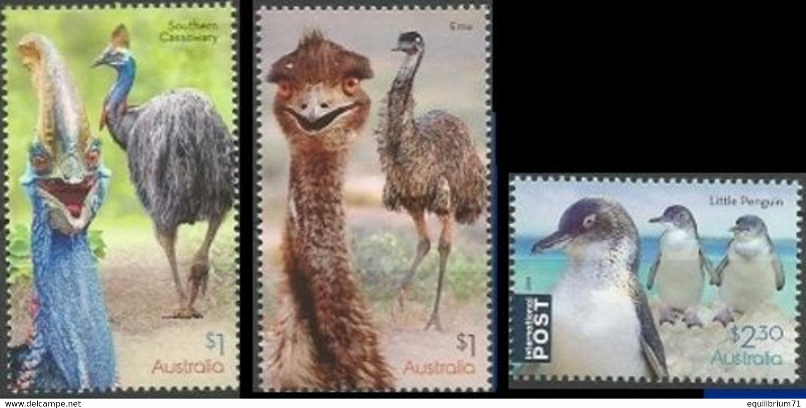 Australie / Australië** - Oiseaux / Vogels / Vögel - Coureurs / Lopers / Läufer - Autruches / Struisvogels / Strauße - Struzzi