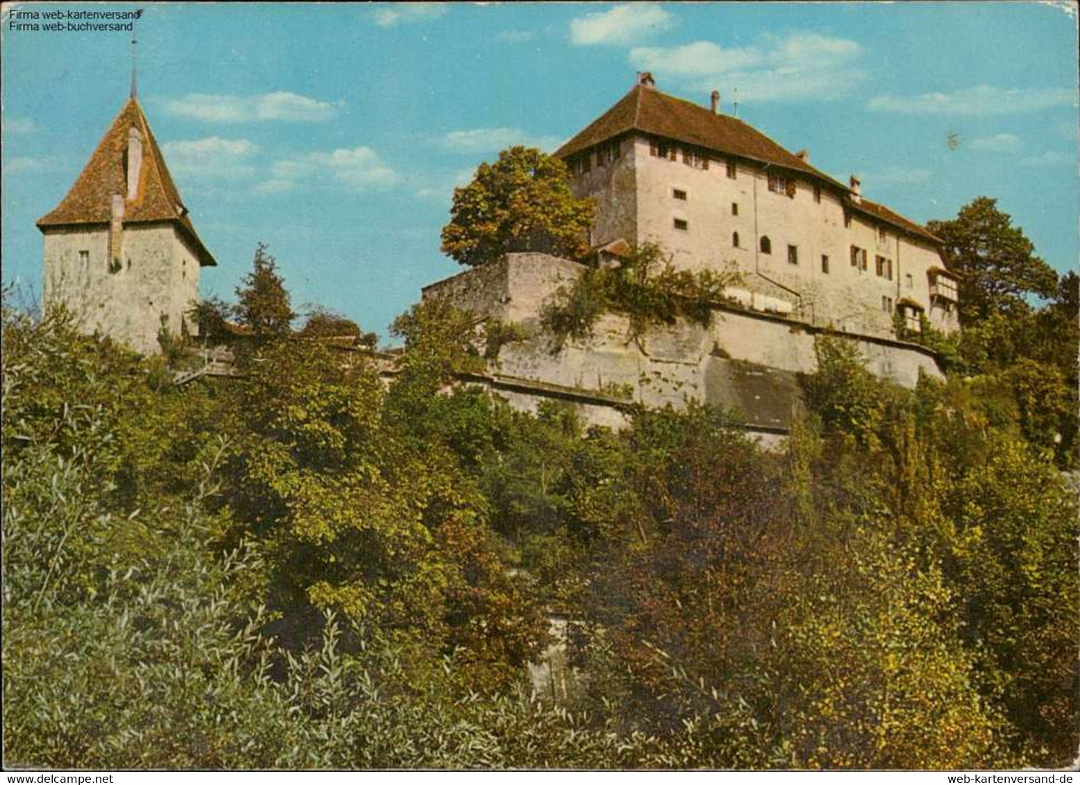 1059251 Laupen - Schloss - Laupen