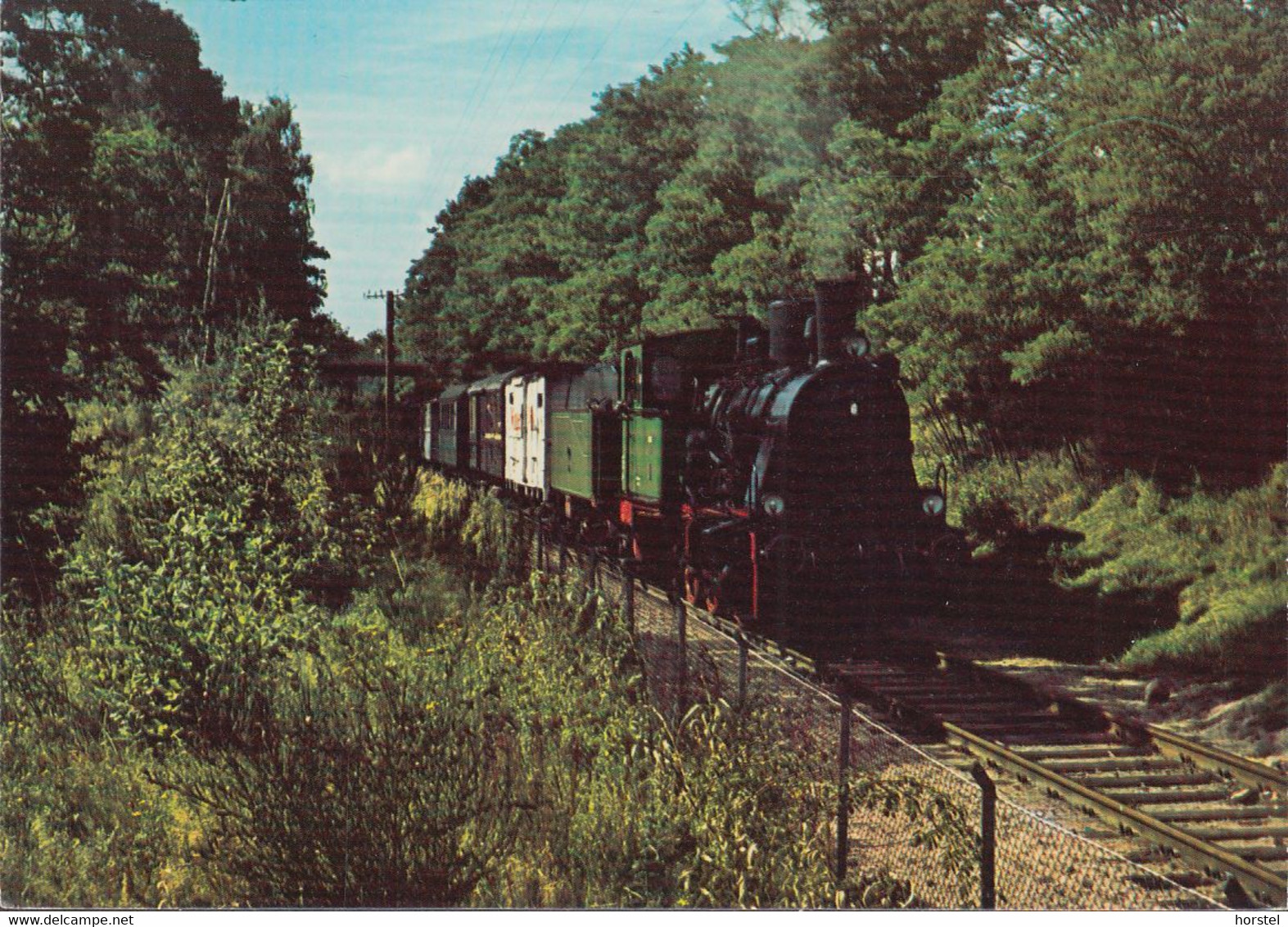 D-29386 Hankensbüttel - Dampflok 2 "Braunschweig" (Braunschweigisches Landesmuseum) - Dannenberg