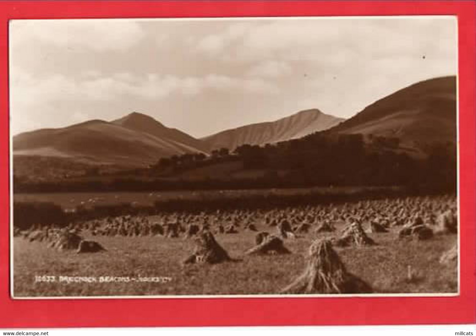 UK WALES  BECONSHIRE  BRECON BEACONS     WHEAT SHEAVES  JUDGES RP  Pu 1937 - Breconshire