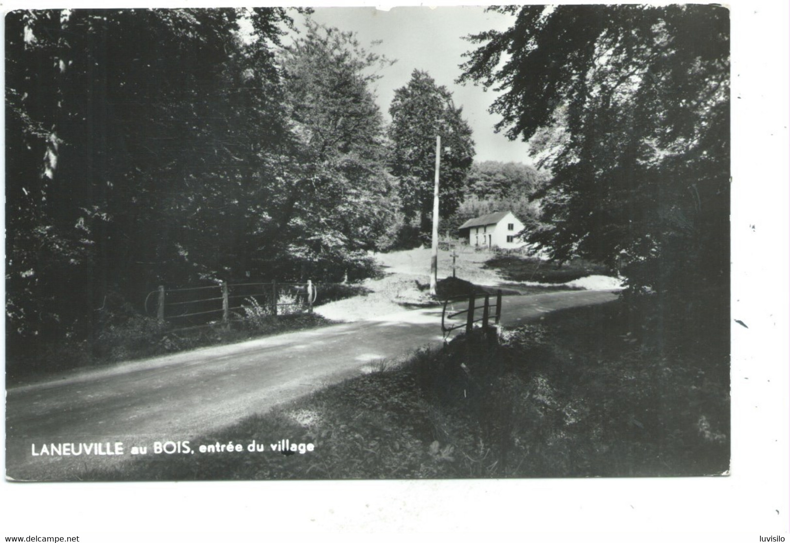 Laneuville Au Bois Entrée Du Village ( Tenneville ) - Tenneville