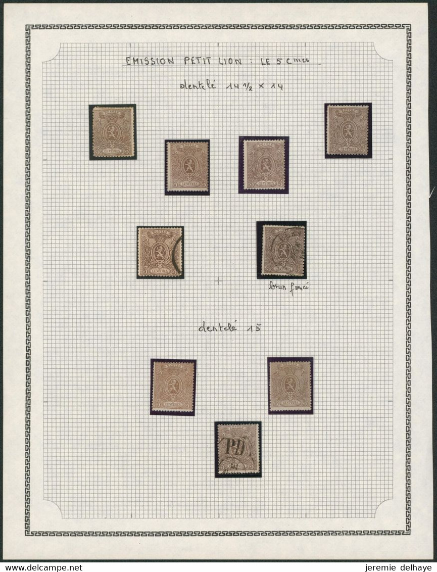 Petit Lion - Page De Collection : N°25 X6 & 25 A X3 / Qualité Diverses. Sans Gommes (*), * Et 3 Obl // Pour étude ! - 1866-1867 Blasón