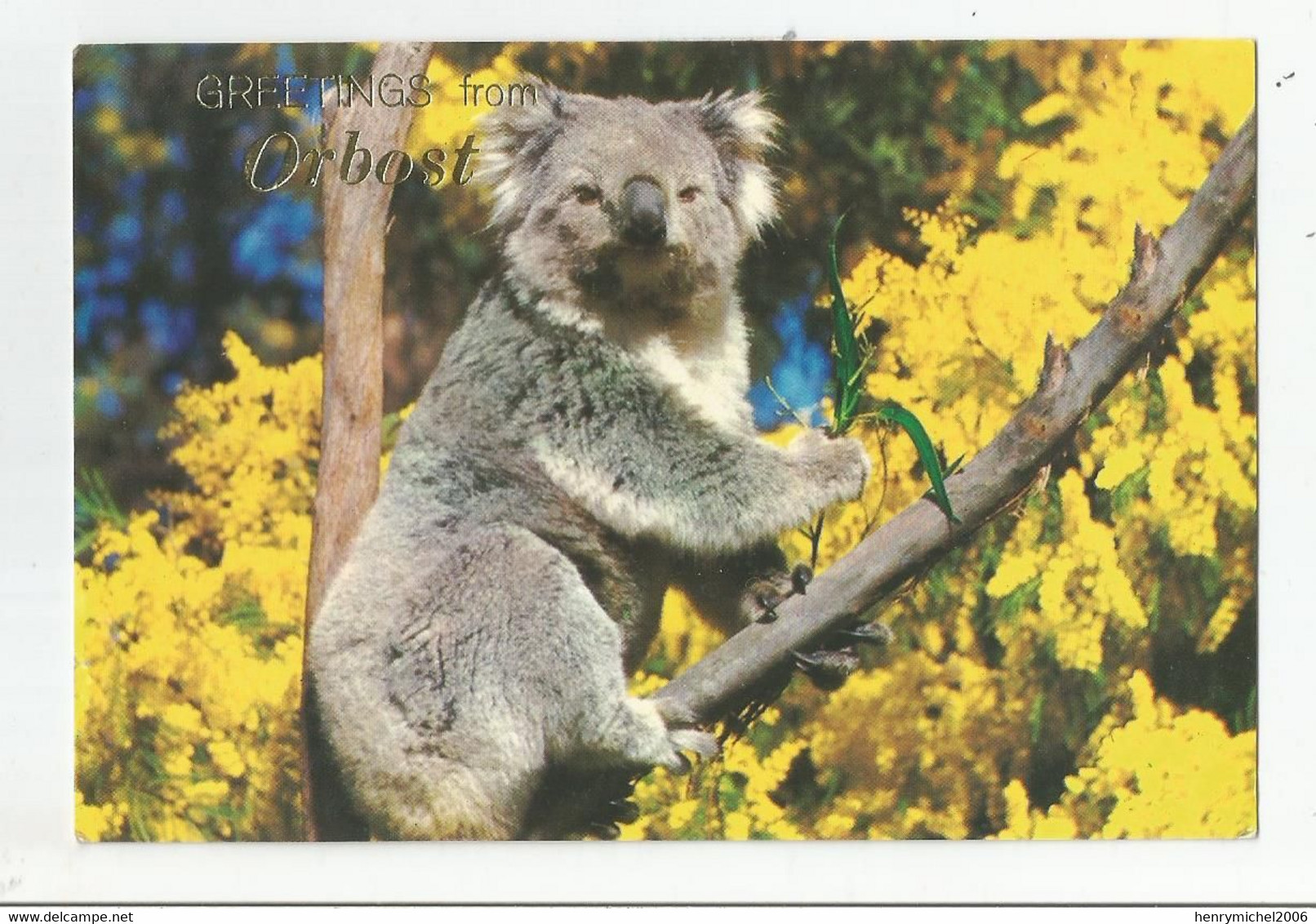 Australie Greetings From Orbost Koala Australia - Andere & Zonder Classificatie