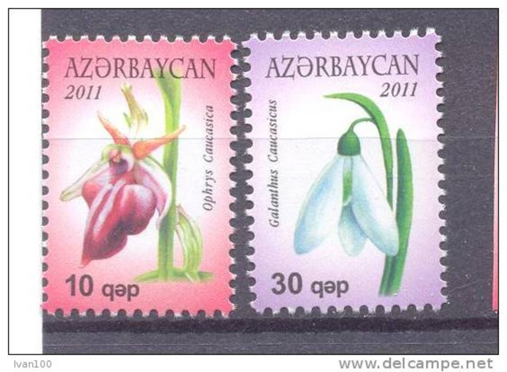 2011. Azerbaijan, Definitives, Flowers, 2v, Mint/** - Azerbaïdjan