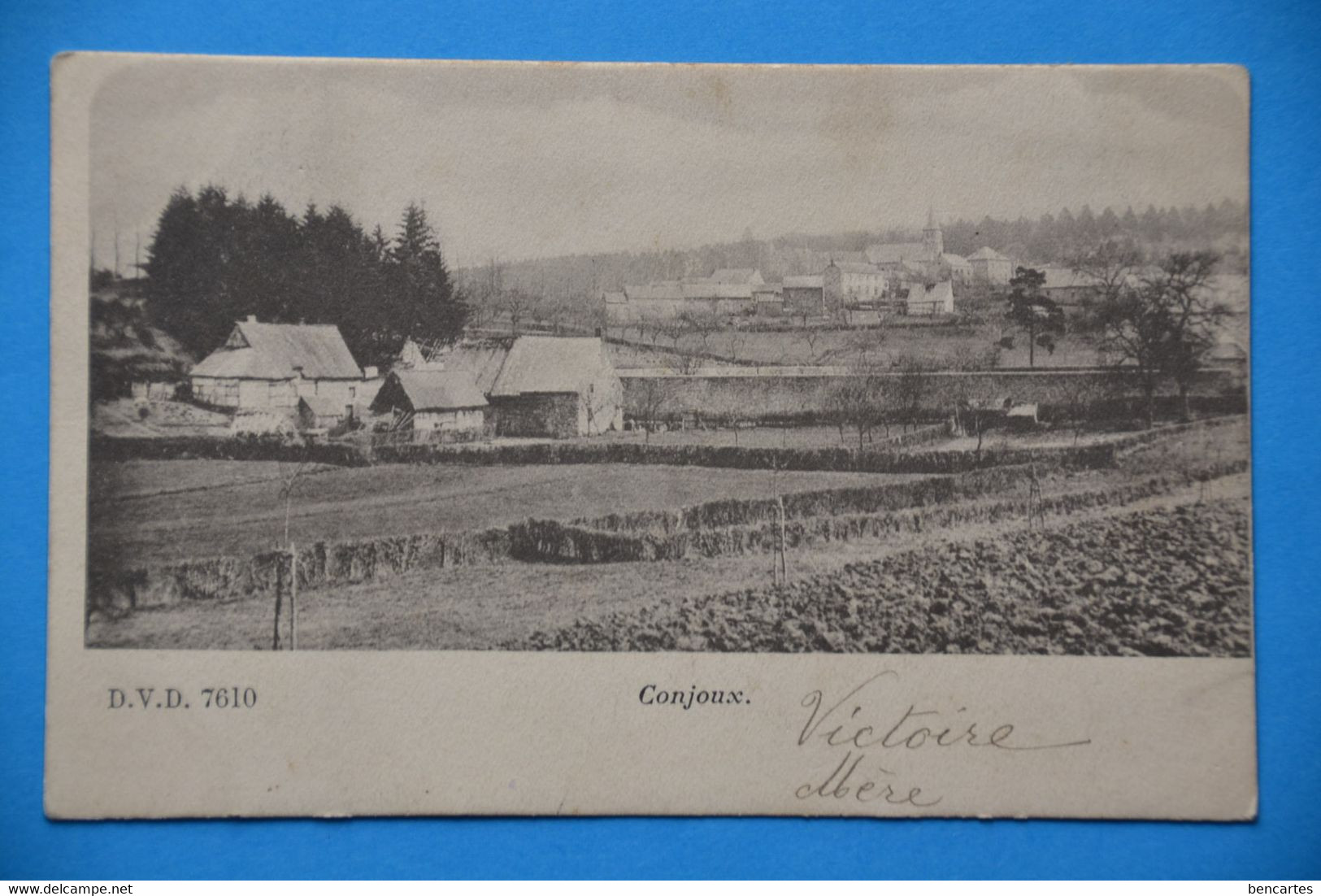 Conjoux 1901 D.V.D. 7610 - Ciney