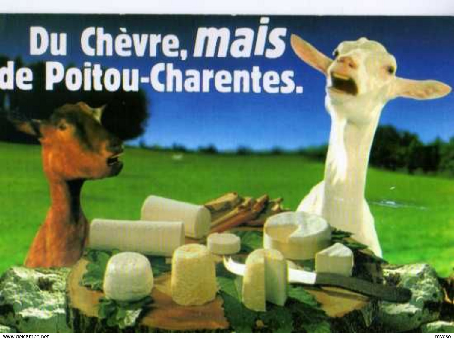 Du Chevre Mais De POITOU CHARENTES, Fromages, Chevres,recette Quiche Du Pecheur Au Dos - Poitou-Charentes