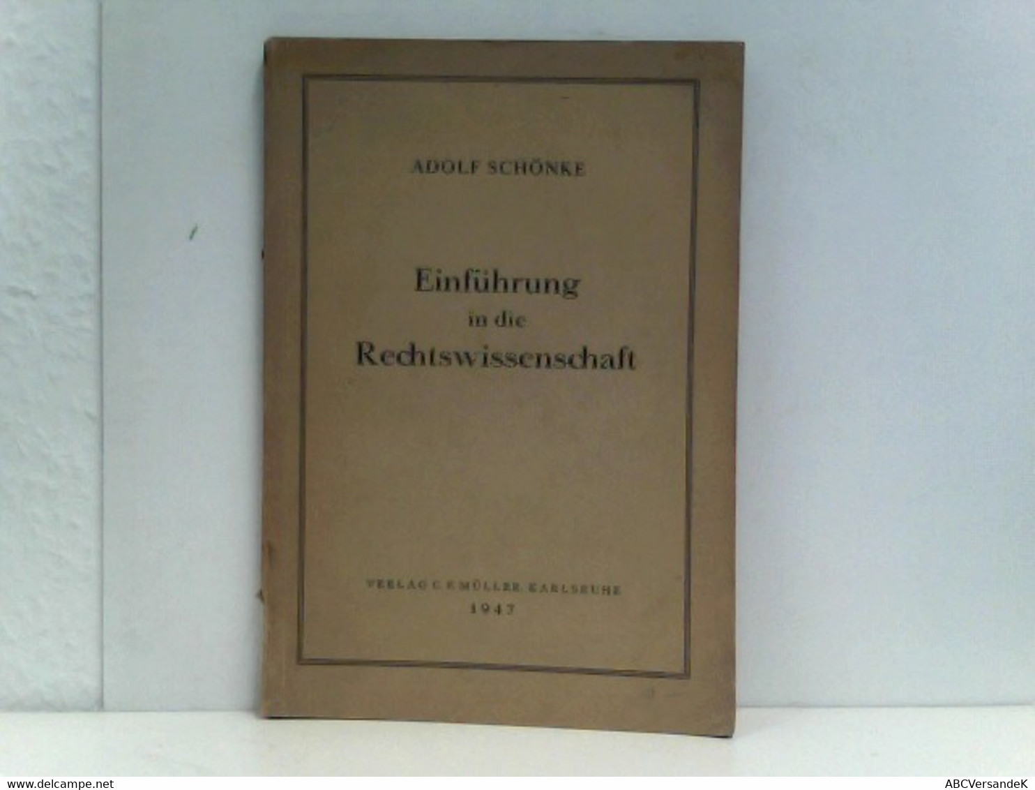 Einführung In Die Rechtswissenschaft - Diritto