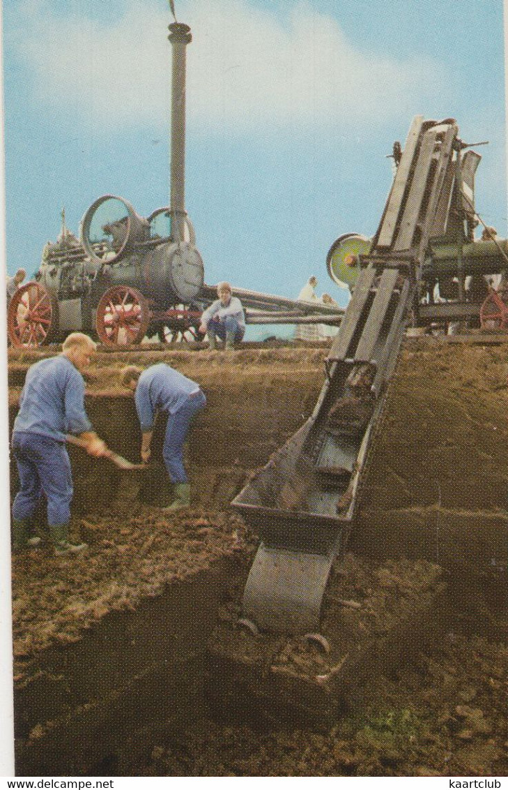 Barger Compascuum - Veenmuseum 't Aole Compas' - (gem. Emmen) Nr. L 8270 - Turfsteekmachine, Locomobiel - Emmen