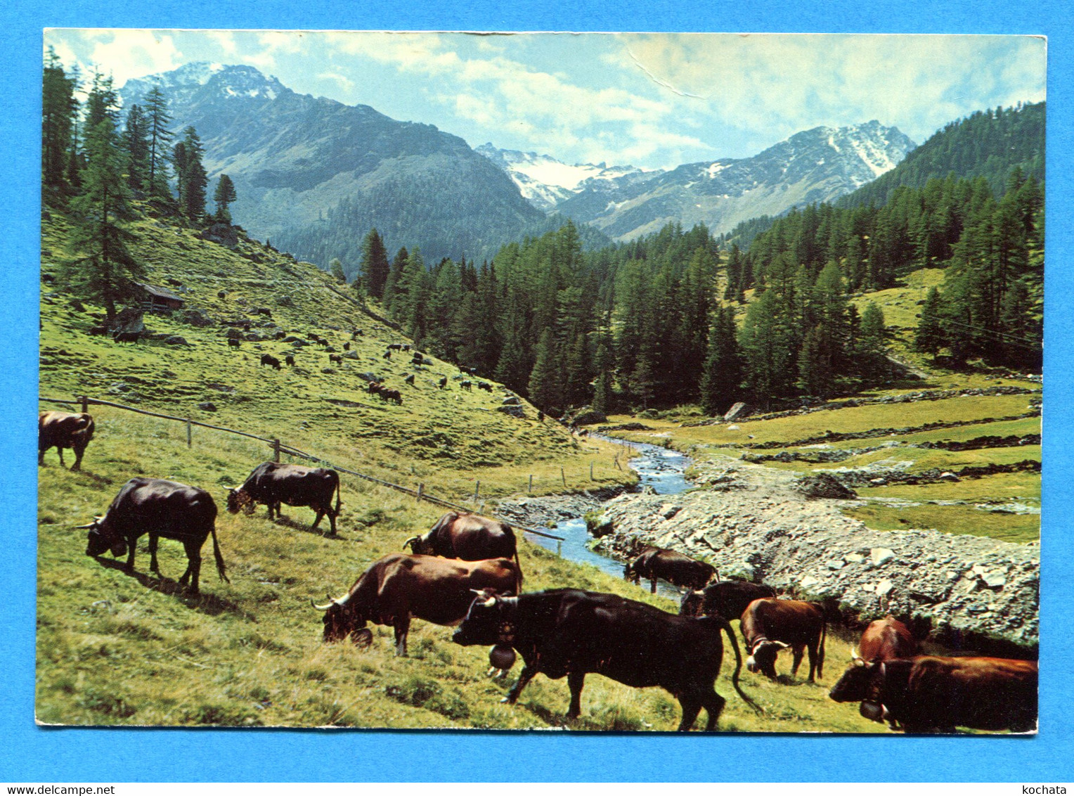 Val251, Super Nendaz, Mont De Sion, Bec Des Etagnes, Vaches D'Hérens, Cloche, Darbellay, GF, Circulée 1970 - Nendaz