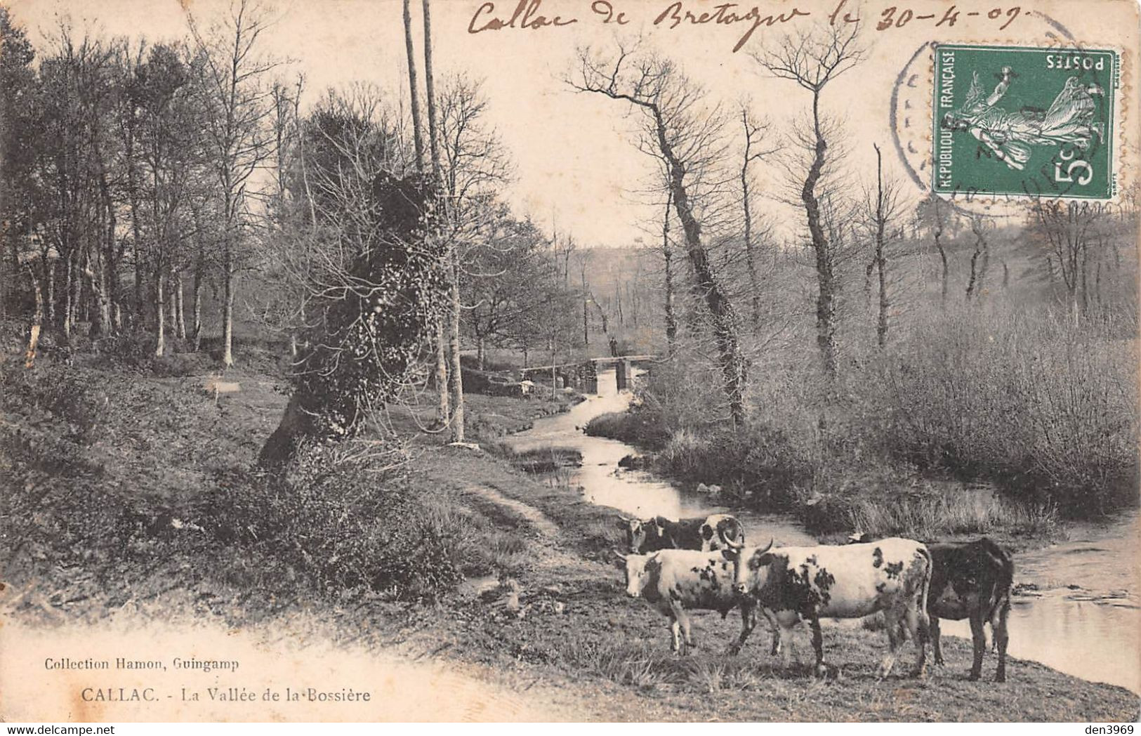 CALLAC - La Vallée De La Bossière - Vaches - Callac