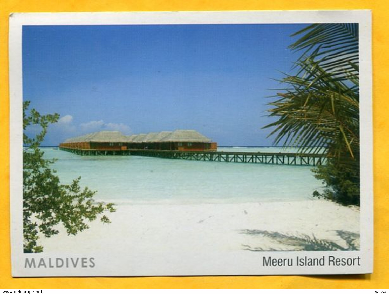 MALDIVES - Meeru Island - Franked Stamp Turtle , Tortue 2015 - Maldive