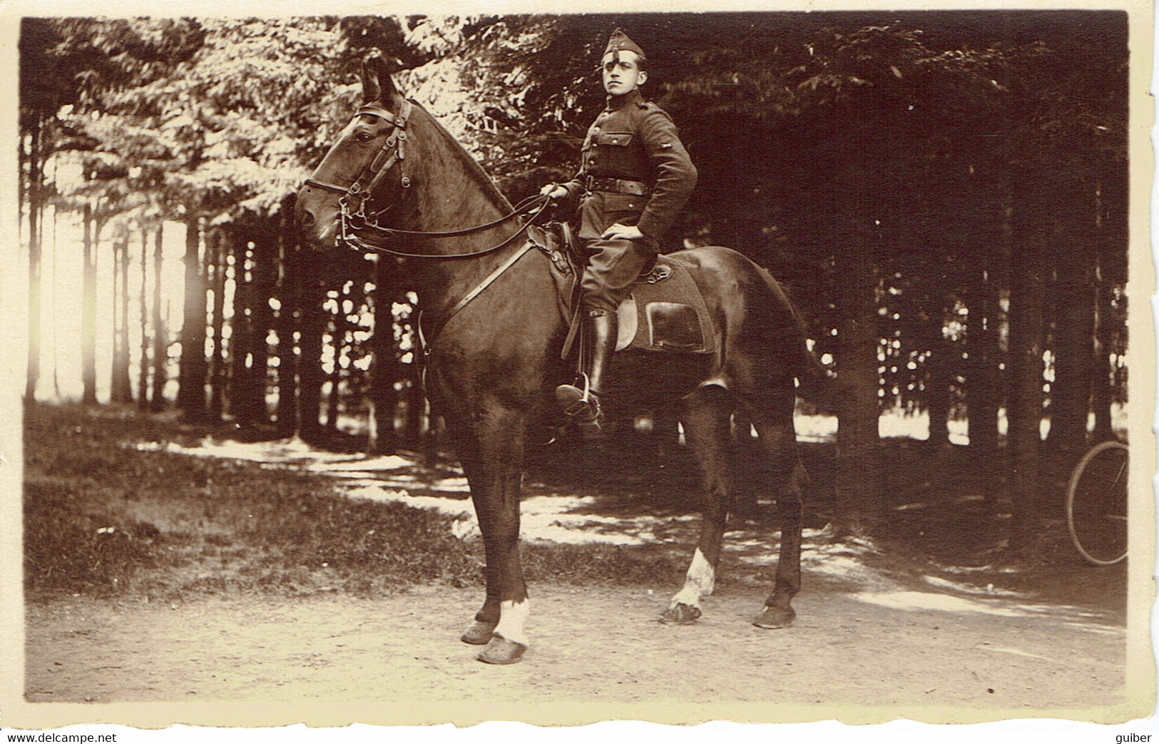 Photo Carte Cavalier Ernest Lambert D'Assesse Caserné Au 3eme Regiment D'artillerie  Caserne De La Chartreuse Liege 1922 - Assesse