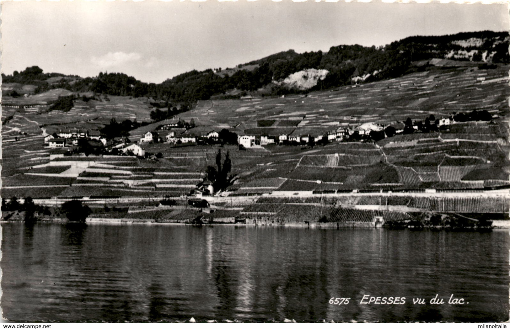 Epesses Vu Du Lac (6575) * 6. 10. 1970 - Épesses