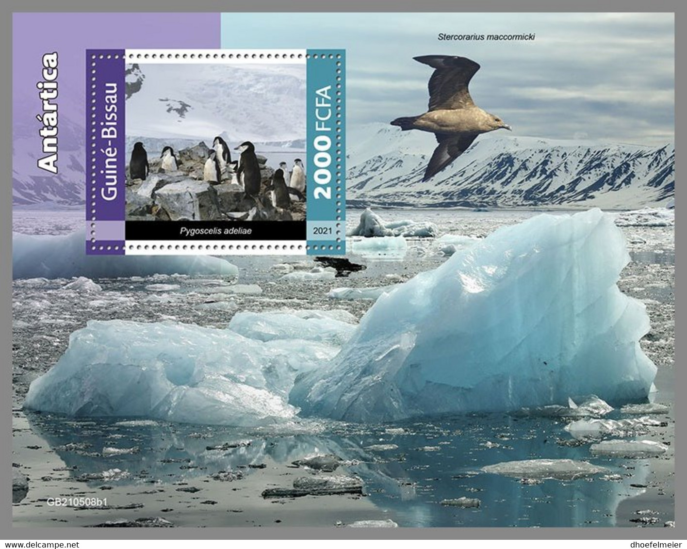 GUINEA BISSAU 2021 MNH Antarctica Animals Tiere Der Antarktis S/S I - OFFICIAL ISSUE - DHQ2201 - Faune Antarctique