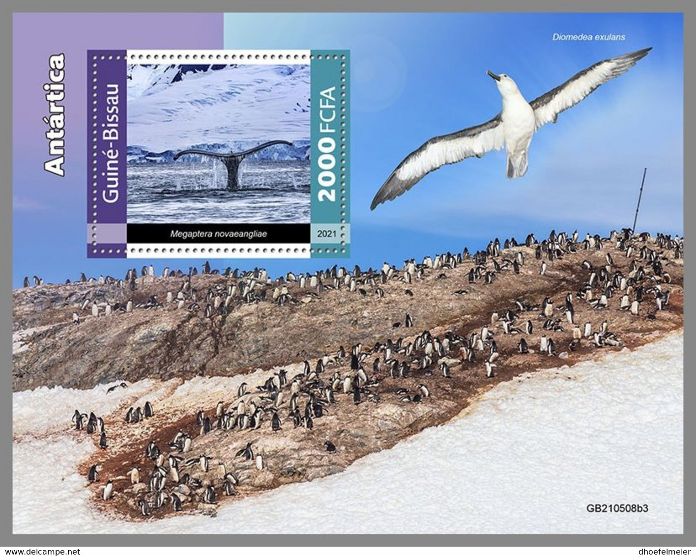 GUINEA BISSAU 2021 MNH Antarctica Animals Tiere Der Antarktis S/S III - IMPERFORATED - DHQ2201 - Faune Antarctique
