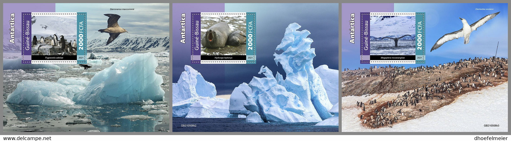 GUINEA BISSAU 2021 MNH Antarctica Animals Tiere Der Antarktis S/S I-III - IMPERFORATED - DHQ2201 - Faune Antarctique