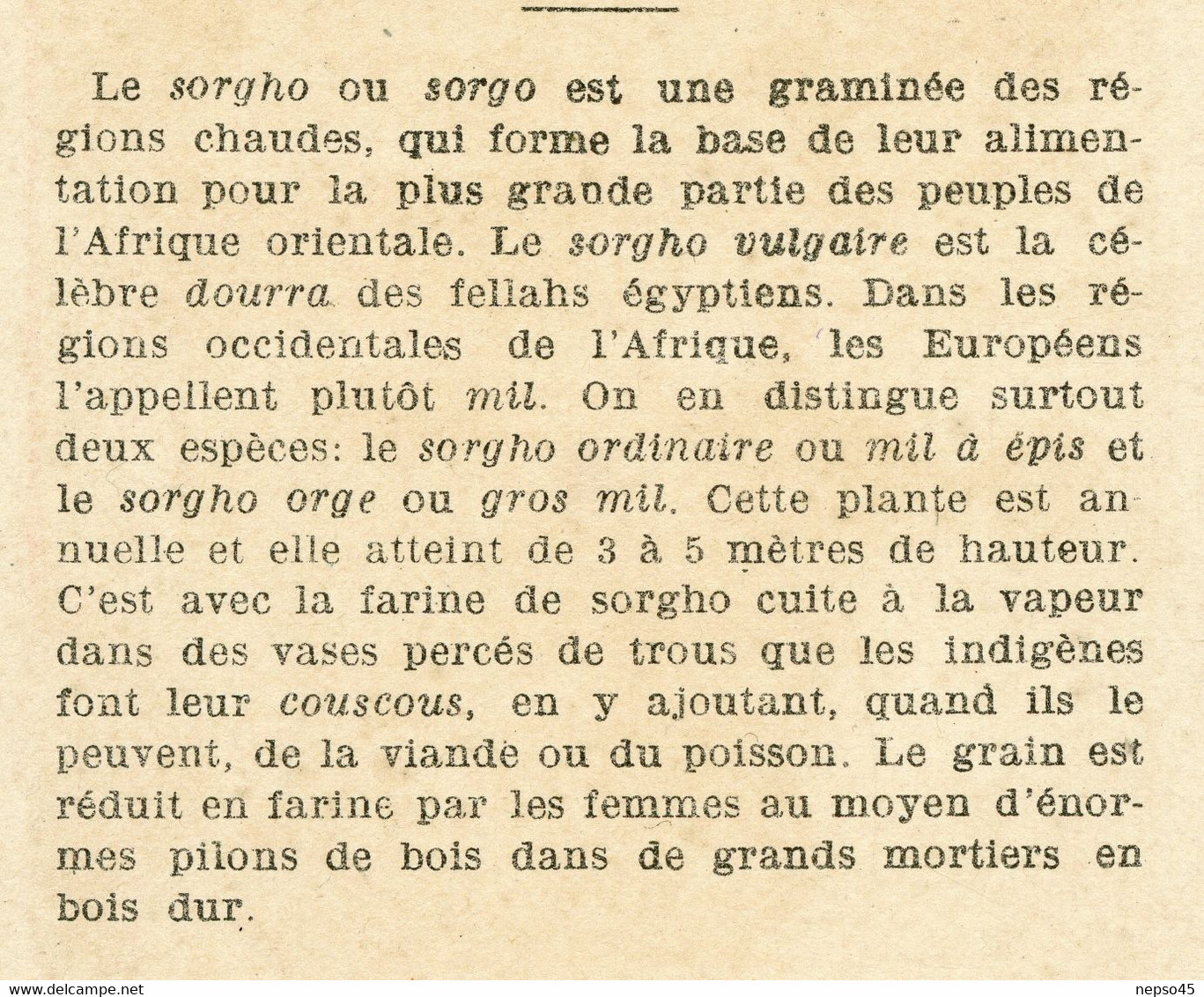 Chromo Publicitaire.Duroyon & Ramette Cambrai.Nord.Abyssinie.Pilage Du Sorgho. - Duroyon & Ramette