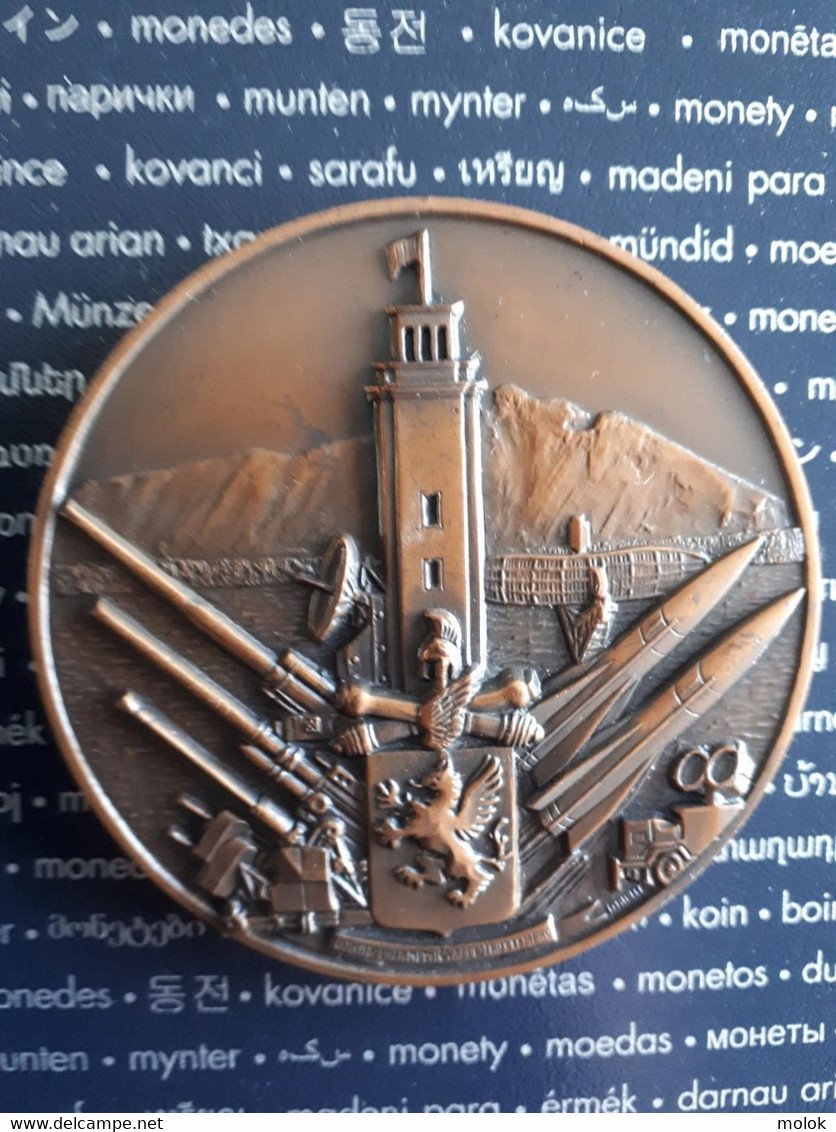 Médaille Italie Rassemblement école Artillerie Sabaudia 1980 - Italy