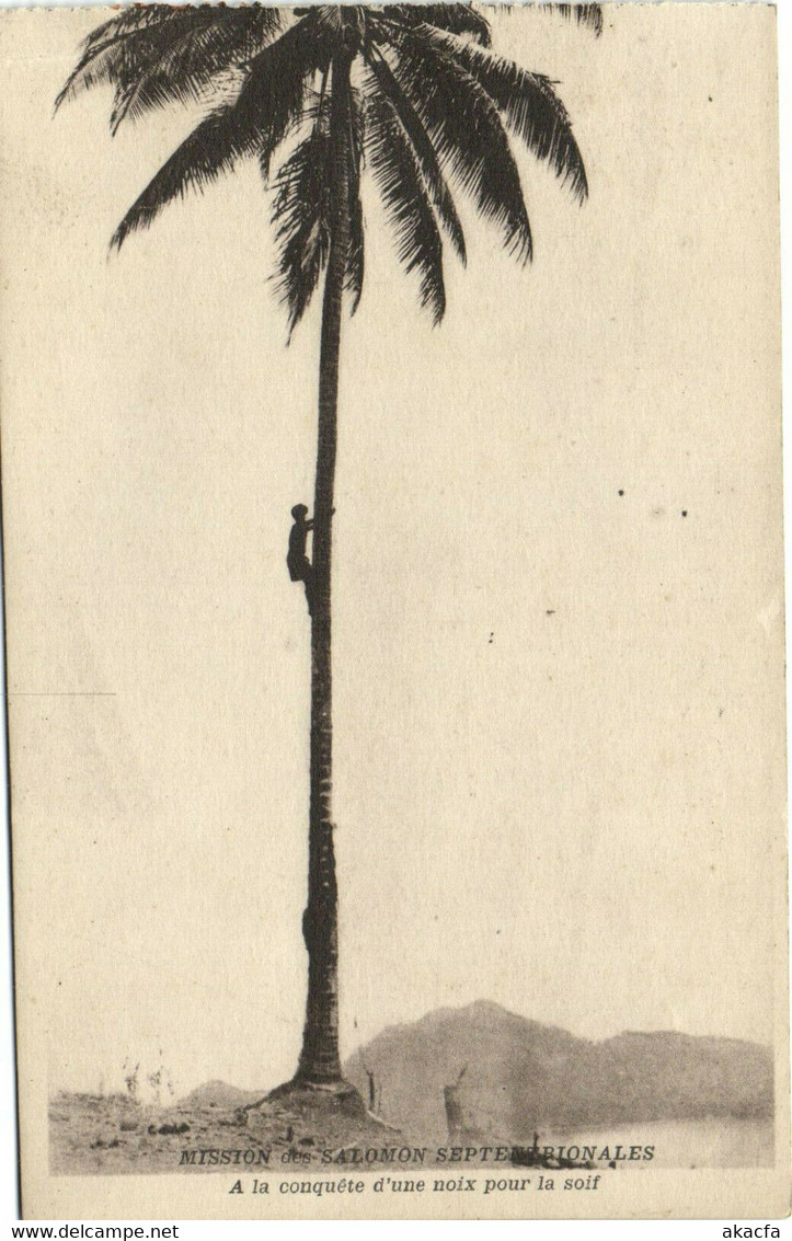 PC UK, SALOMON ISLANDS, A LA CONQUÉTE D'UNE NOIX, Vintage Postcard (b33512) - Solomoneilanden