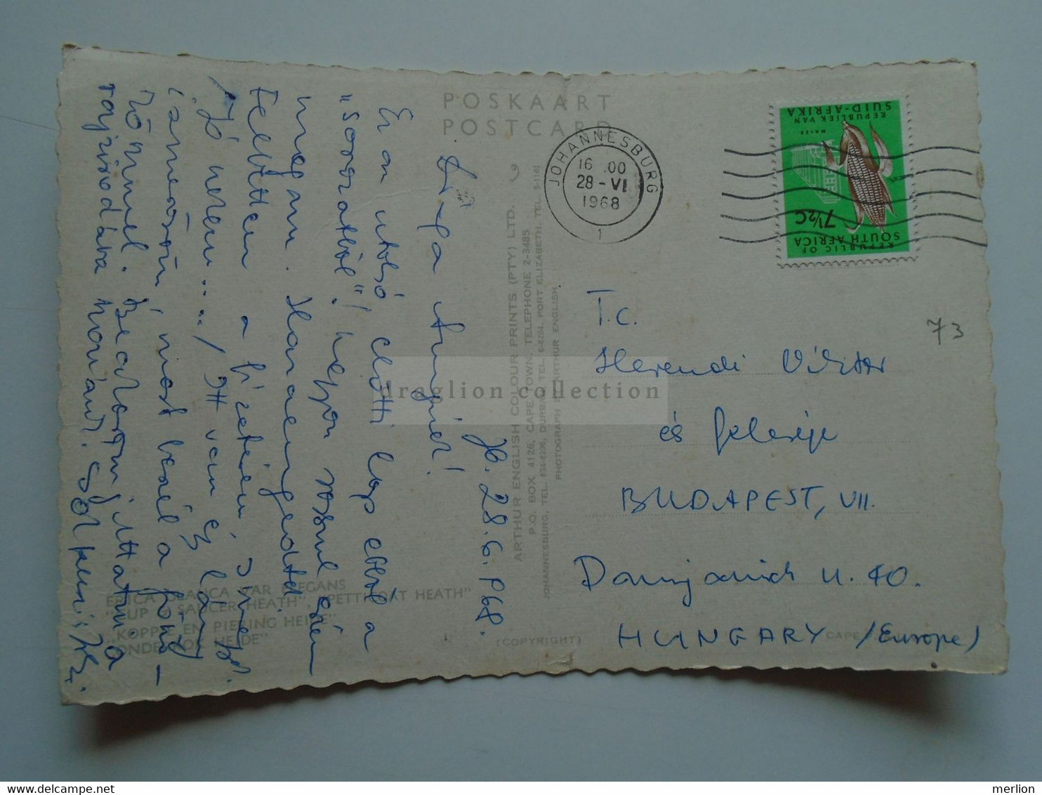 D187574   AK - CPM   South Africa - Flowers  1968   Cancel Johannesburg - Flowers