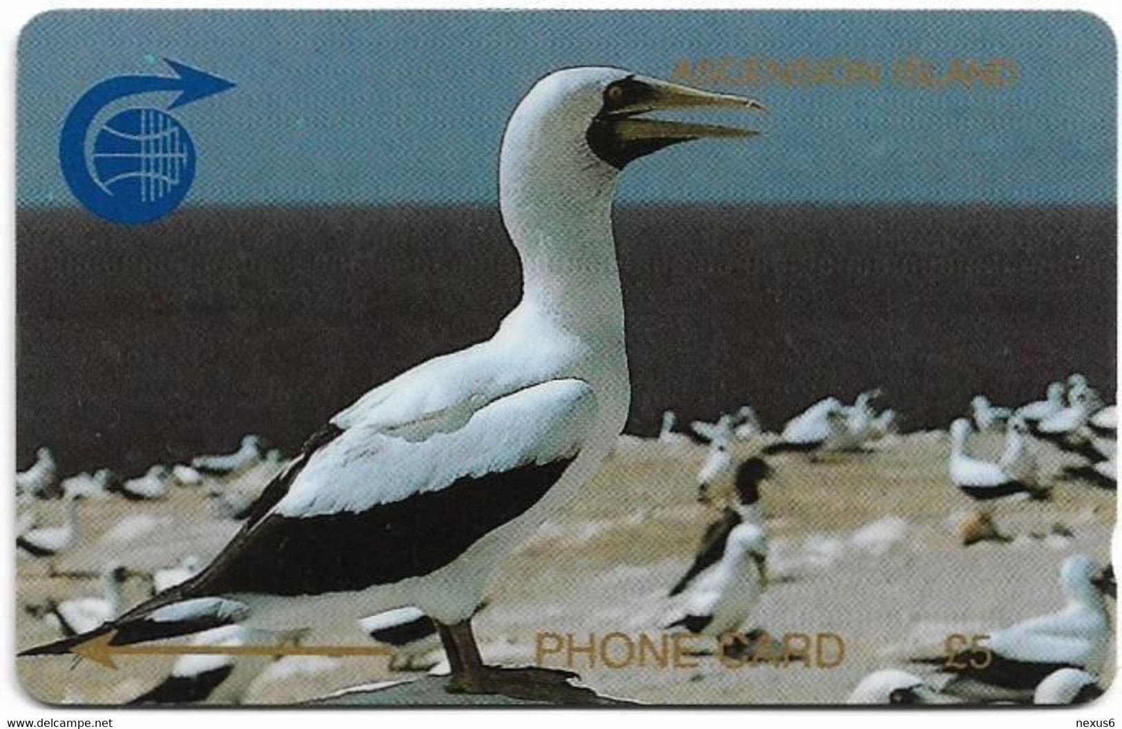 Ascension Island - C&W - GPT - 1CASB - Fairy Tern, 1990, 5.031ex, Used - Ascension (Insel)