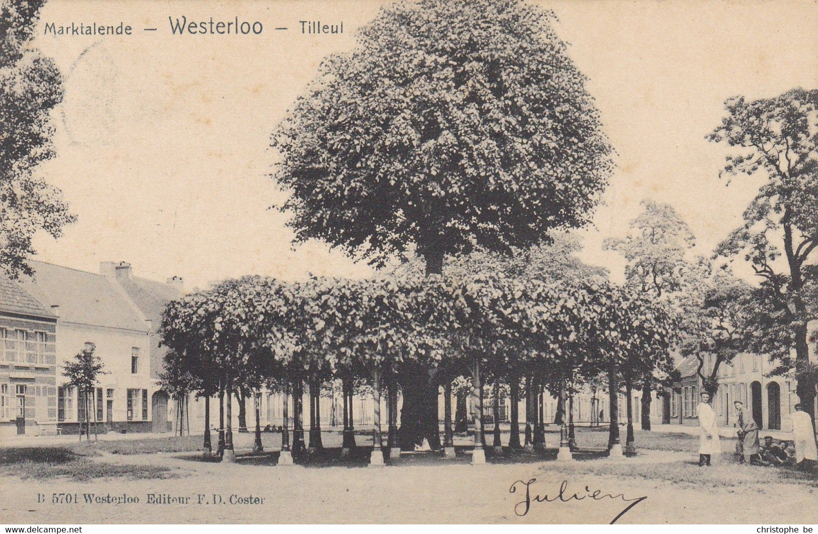 Westerloo, Westerlo, Marktalende (pk83324) - Westerlo