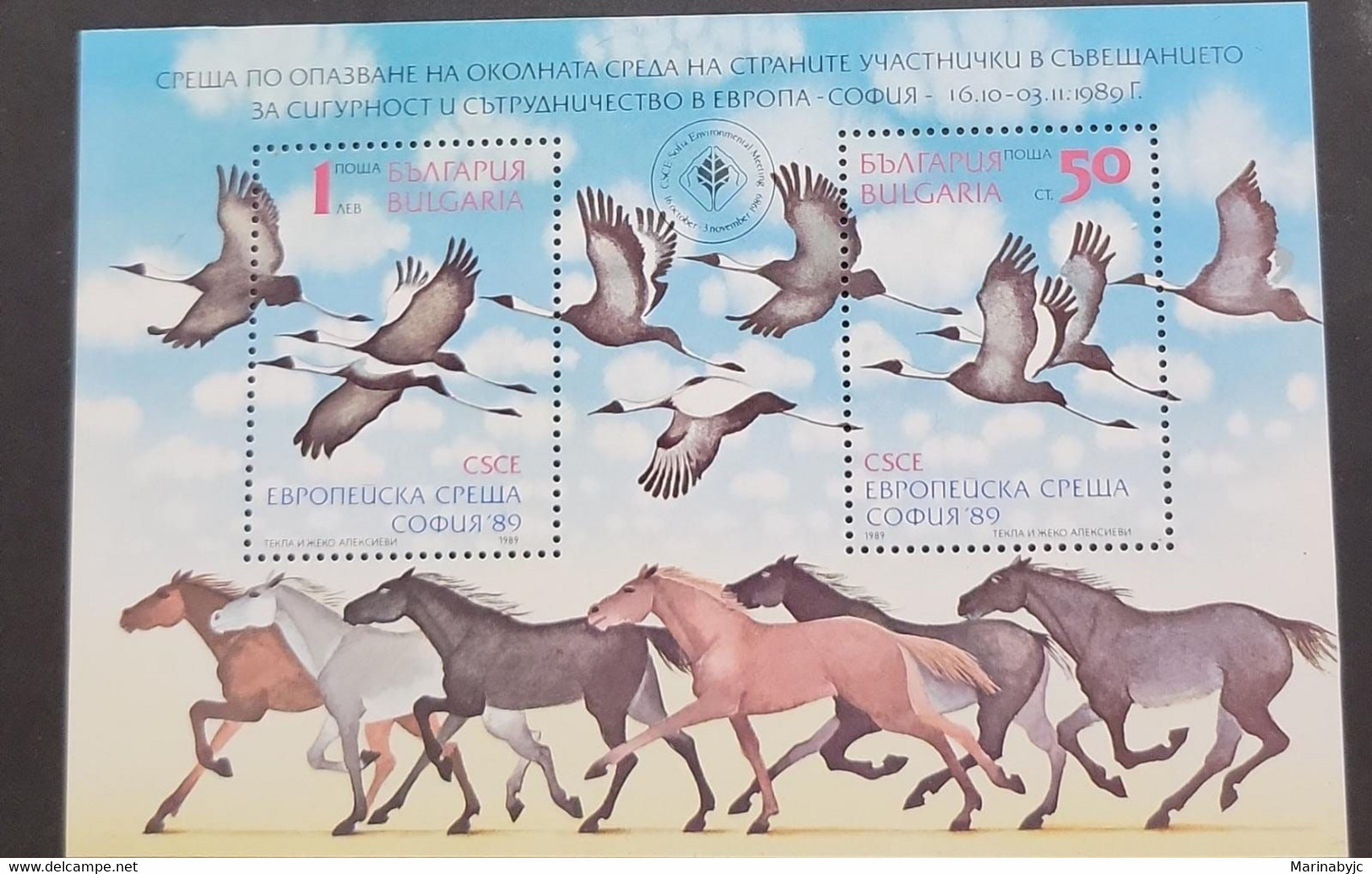 SP) 1989 BULGARIA, EUROPEAN ECOLOGY CONGRESS, BIRDS, GRUS VIPIO, MINISHEET, MNH - Otros & Sin Clasificación