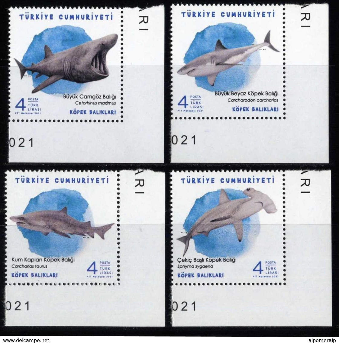 Türkiye 2021 Mi 4673-4676 MNH Sharks, Fishes, Sea Life, Shark, Fauna | Right Bottom Corner - Ongebruikt