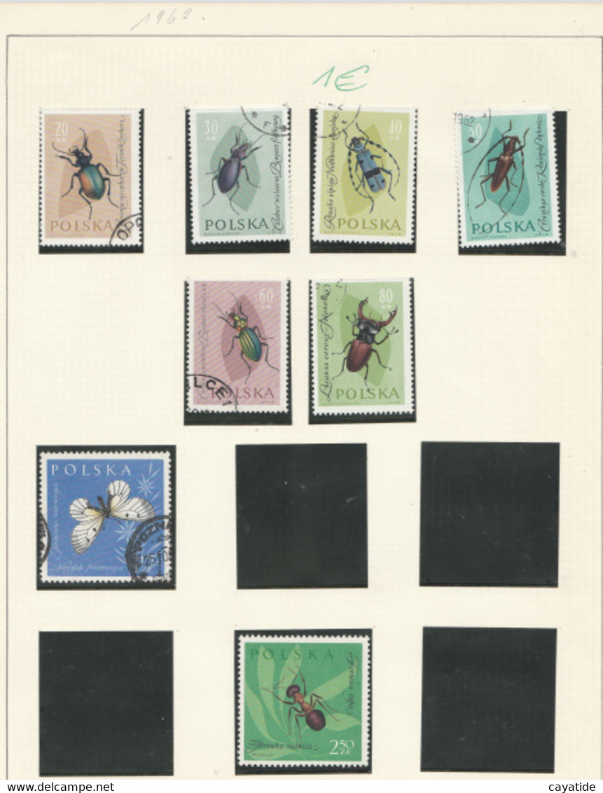 TIMBRES DE POLOGNE