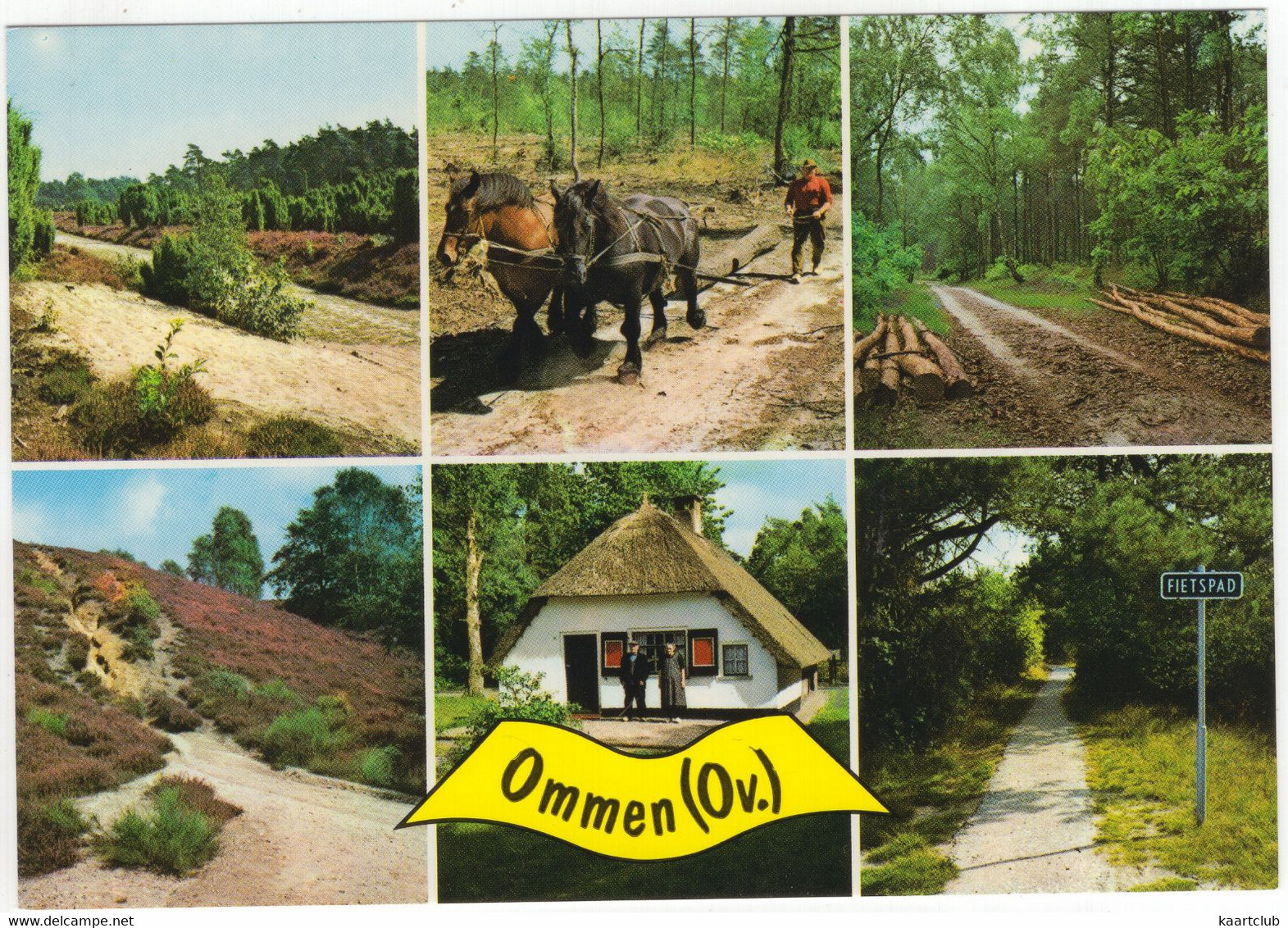Ommen (Ov.) - (Overijssel, Nederland) - Nr. L 3362 - Natuur, Heide, Bosbouw - Ommen