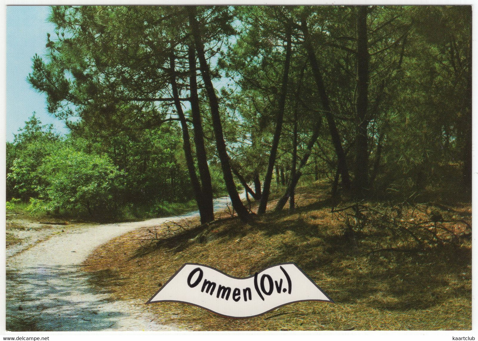 Ommen (Ov.) - (Overijssel, Nederland)  - Nr. L 3460 - Naaldbomen, Bospad - Ommen