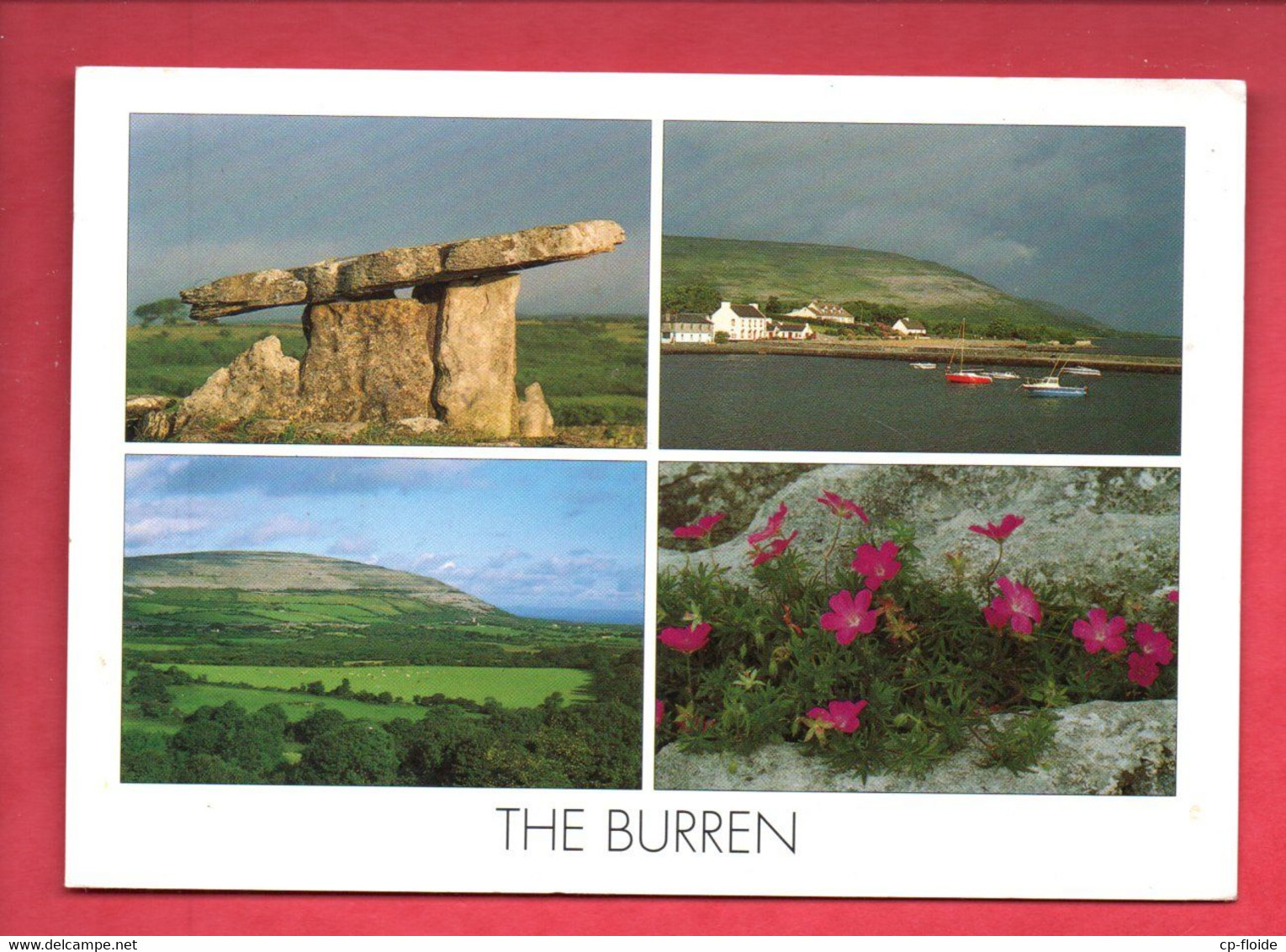 IRLANDE . IRELAND . " THE BURREN " - Réf. N°33085 - - Offaly