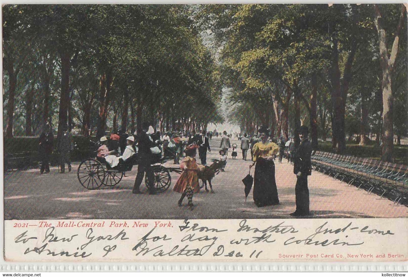 THE MALL - CENTRAL PARK - NEW YORK - 1905 - Central Park