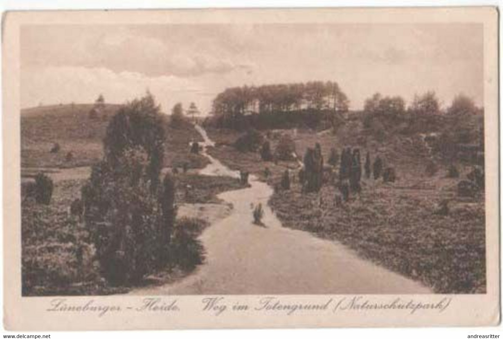 AK Schneverdingen Totengrund 1927 (Al05) - Schneverdingen