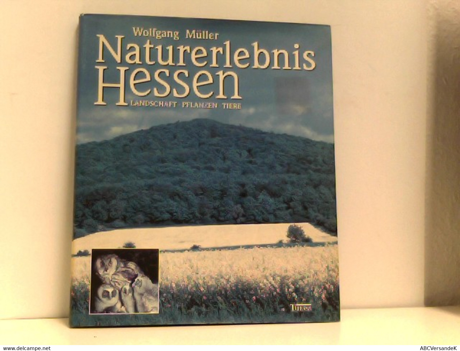 Naturerlebnis Hessen: Landschaft - Pflanzen - Tiere - Hesse