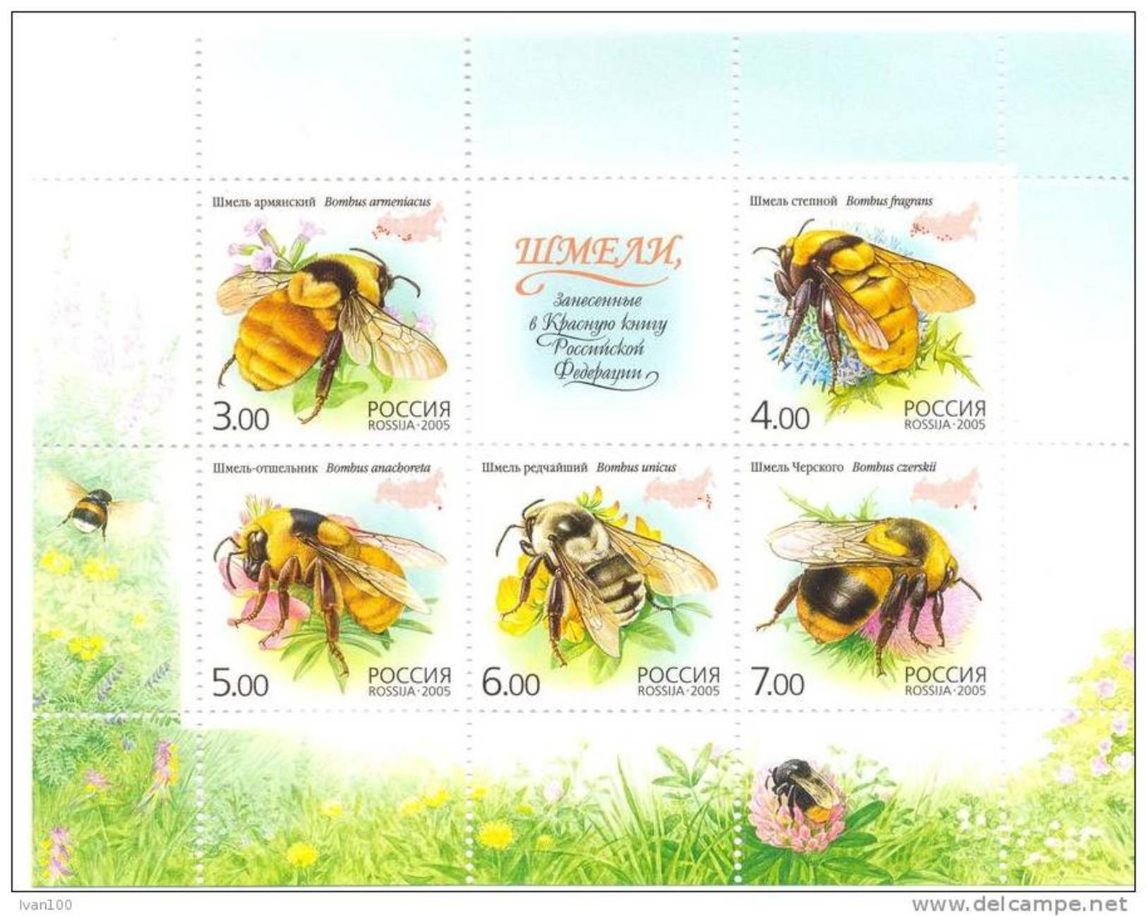 2005. Russia, Insects, Bees, S/s, Mint/** - Blokken & Velletjes