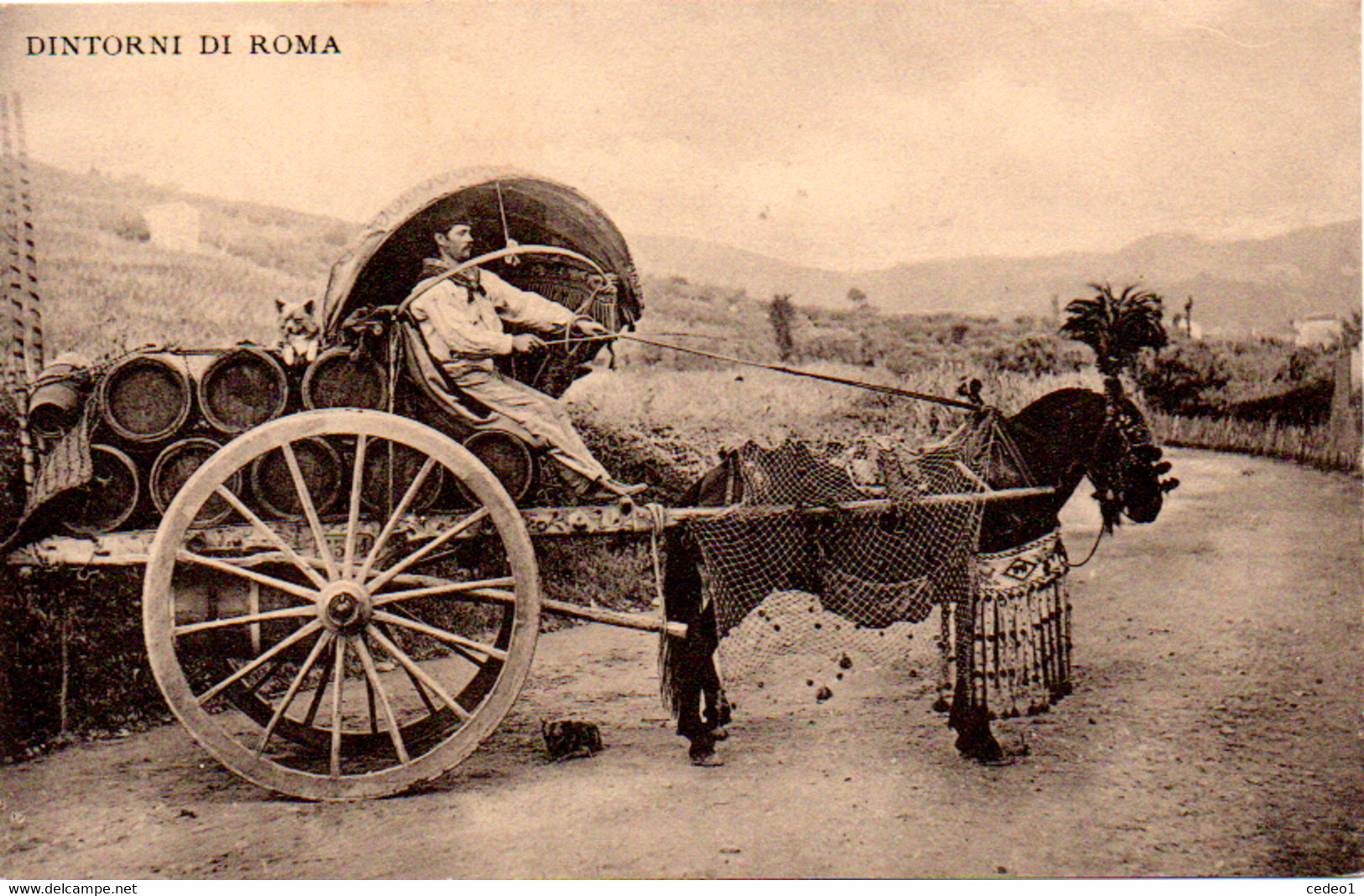 DINTORNI DI ROMA - Transportes